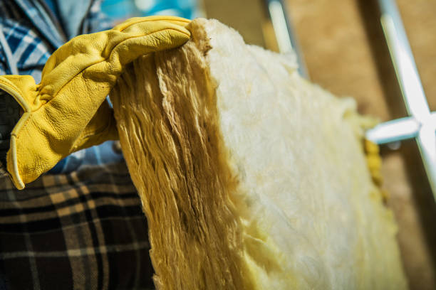 Best Geographic-Specific Insulation Services in Plainview, NE