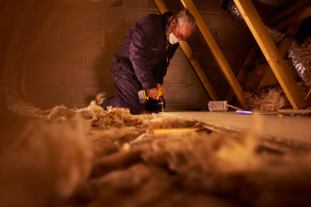 Best Residential Insulation in Plainview, NE